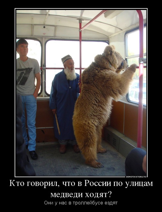 Кто говорил, что в России по улицам медведи ходят?