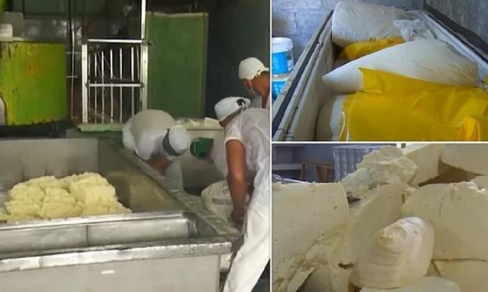 Заводские рабочие вчетвером украли больше тонны сыра (4 фото)