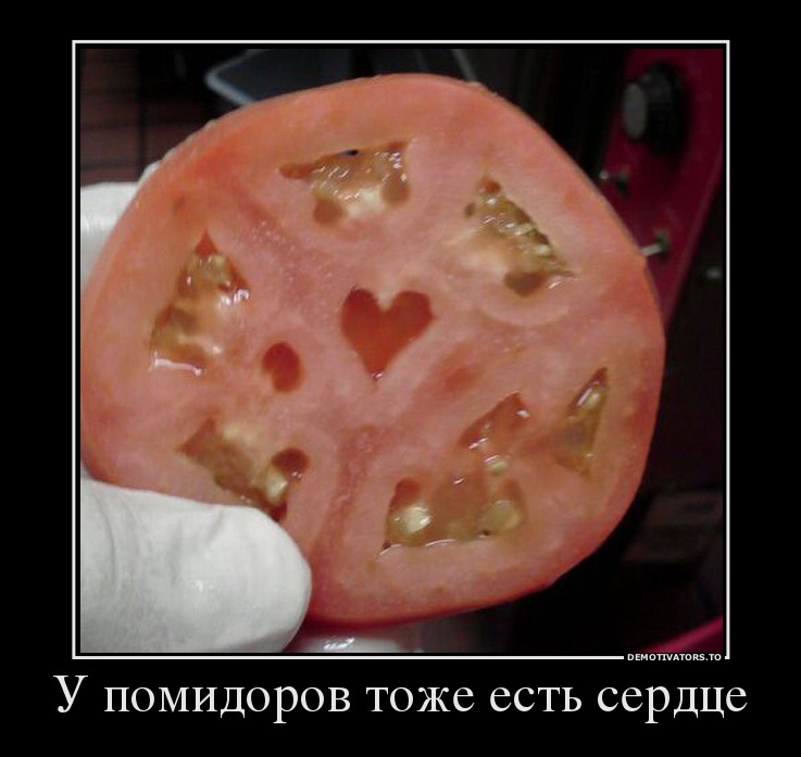 У помидоров тоже есть сердце