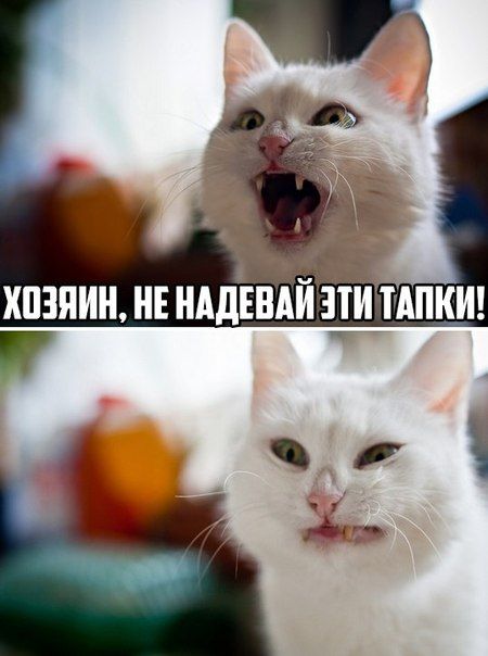 ПОДБОРКА ФОТОПРИКОЛОВ № 16