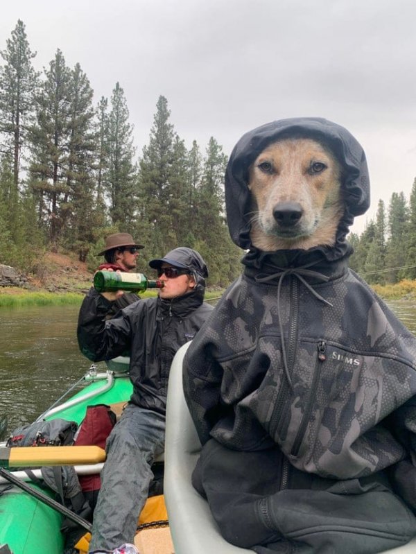 Фотография с собакой в куртке и пьющими рыбаками (13 фото)