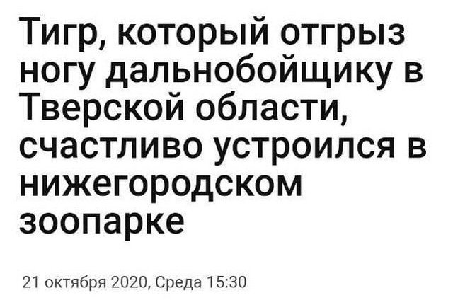 Забавные заголовки из СМИ (15 фото)