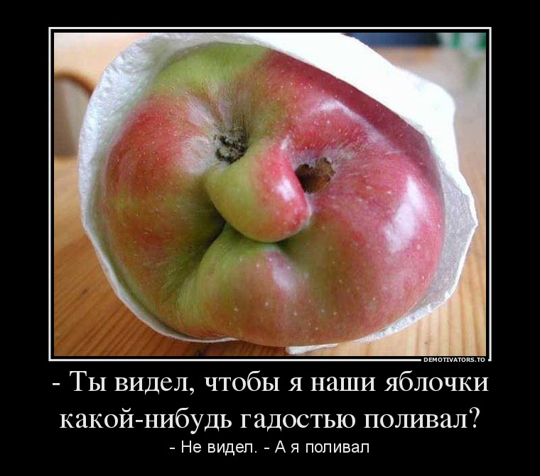 - Ты видел, чтобы я наши яблочки какой-нибудь гадостью поливал?